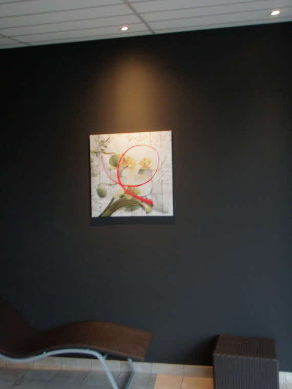 Ausstellung der Kunstwerke von H.H.Bader bei FitnessFirst Pforzheim