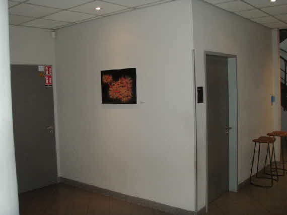 Ausstellung der Kunstwerke von H.H.Bader bei FitnessFirst Pforzheim