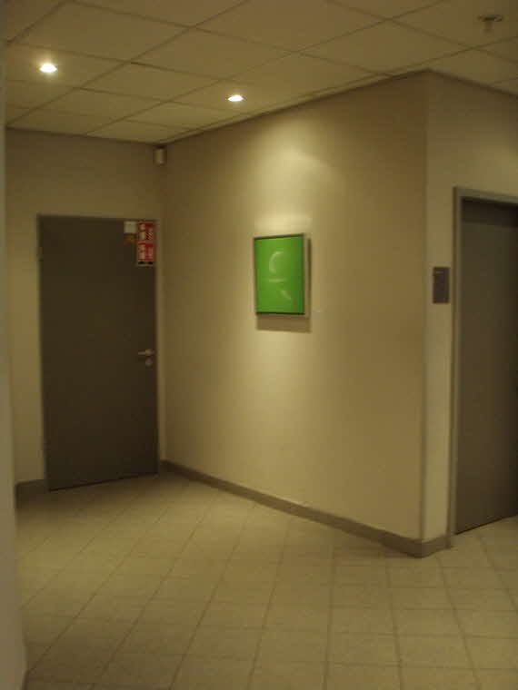 Ausstellung der Kunstwerke von H.H.Bader bei FitnessFirst Pforzheim