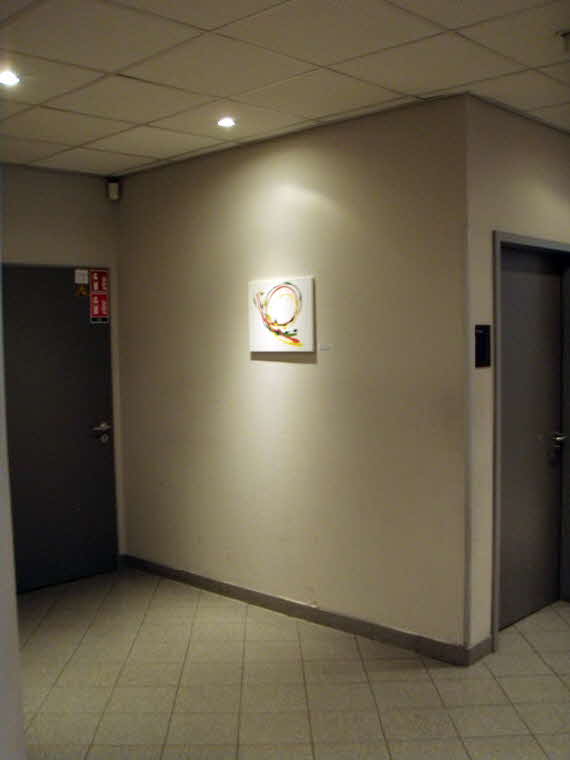 Ausstellung der Kunstwerke von H.H.Bader bei FitnessFirst Pforzheim